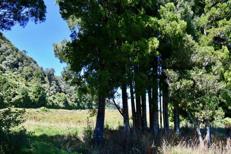 Photo of property in 216 Kongahu Swamp Road, Little Wanganui, Karamea, 7893