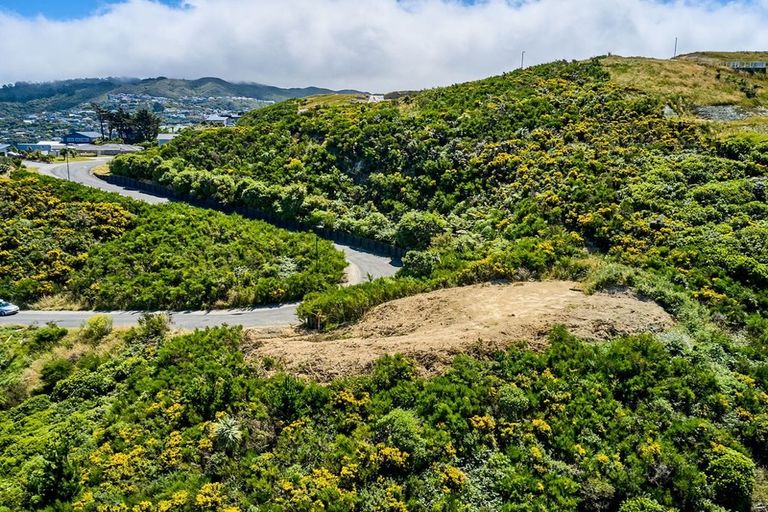 Photo of property in 17 Grumman Lane, Newlands, Wellington, 6037