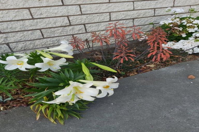 Photo of property in 1/24 Toorak Avenue, Avonhead, Christchurch, 8042