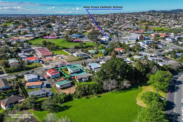 Photo of property in 47 Newington Road, Henderson, Auckland, 0612