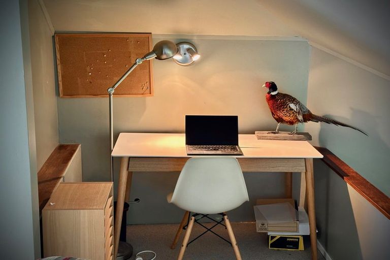 Photo of property in 8 Beere Haven Steps, Seatoun, Wellington, 6022