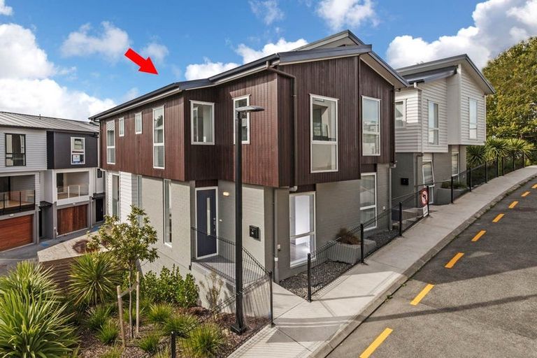 Photo of property in 84 Makamaka Lane, Albany Heights, Auckland, 0632