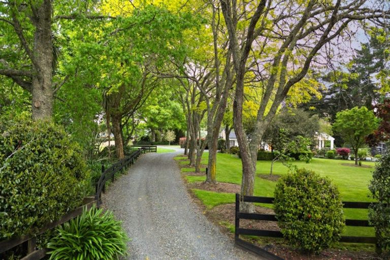 Photo of property in 11 Blue Heron Place, Tamahere, Hamilton, 3283