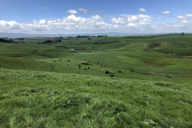 Photo of property in 247 Waterworks Road, Te Miro, Morrinsville, 3371