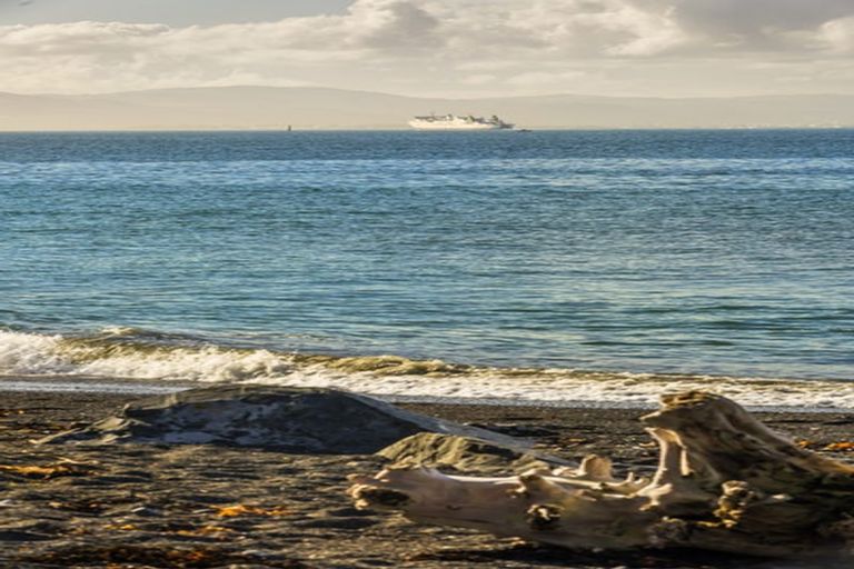 Photo of property in 19 Steeple Lane, Seatoun, Wellington, 6022