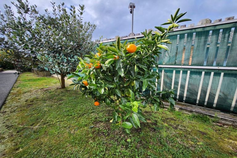 Photo of property in 11 Buchanan Street, Paeroa, 3600