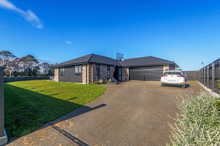 Photo of property in 20 Turoa Street, Feilding, 4702