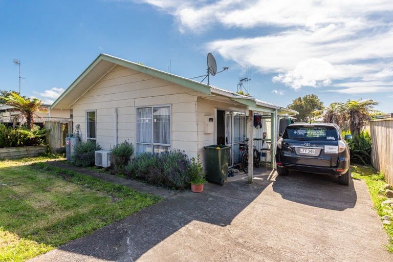 Photo of property in 179 Tiro Tiro Road, Levin, 5510