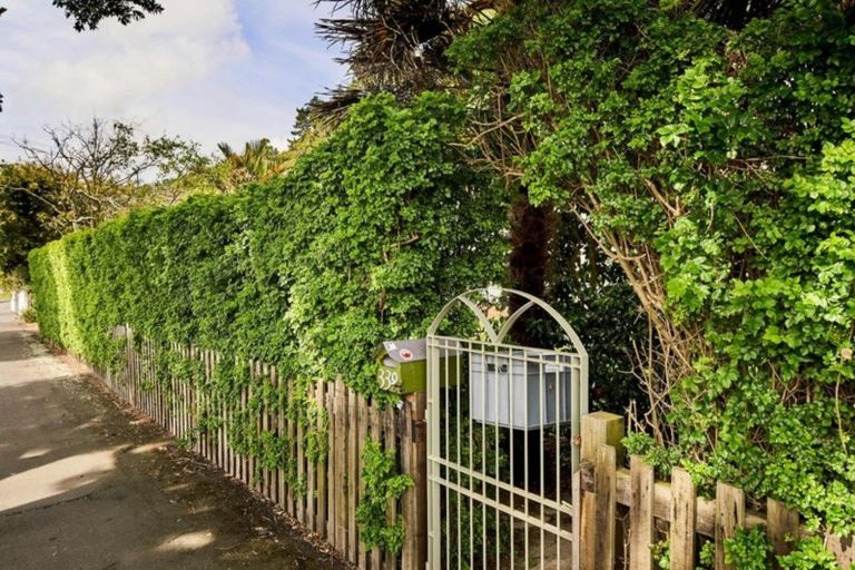 Photo of property in 339 Muritai Road, Eastbourne, Lower Hutt, 5013