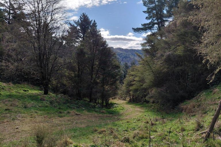 Photo of property in 499 Tadmor Valley Road, Tapawera, Wakefield, 7096