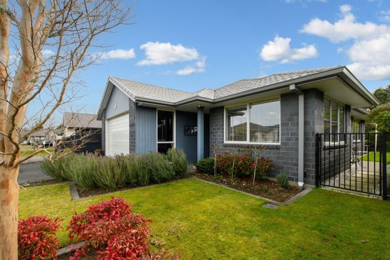 Photo of property in 101 Landing Drive, Pyes Pa, Tauranga, 3112