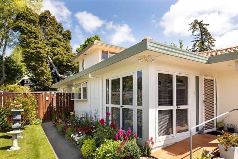 Photo of property in 7a Carr Street, Blenheim, 7201