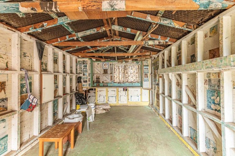 Photo of property in 46 Hadfield Crescent, College Estate, Whanganui, 4500