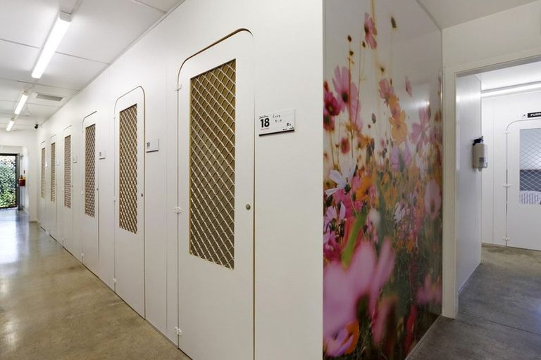 Photo of property in 740 Main Rd Stoke, Stoke, Nelson, 7011