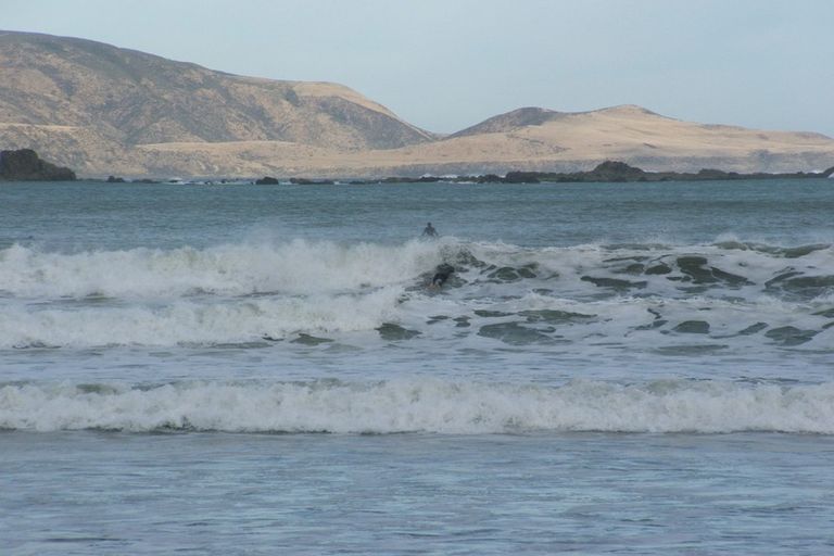 Photo of property in 2 Lyall Parade, Lyall Bay, Wellington, 6022