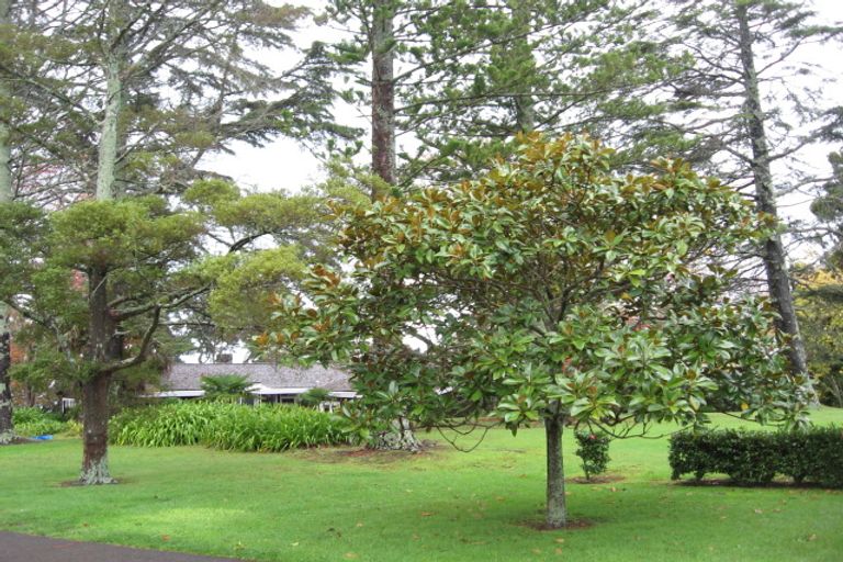 Photo of property in 37 Seymour Road, Mellons Bay, Auckland, 2014