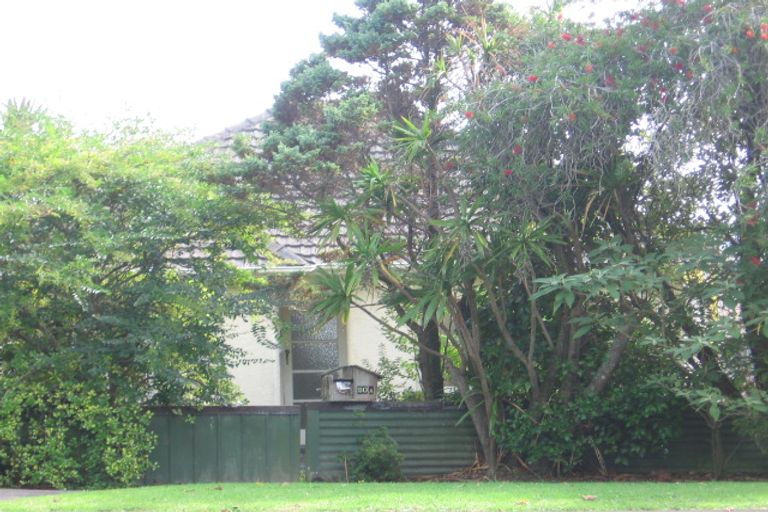 Photo of property in 20 Humphrey Kemp Avenue, Henderson, Auckland, 0612