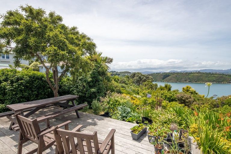 Photo of property in 58a Kainui Road, Hataitai, Wellington, 6021