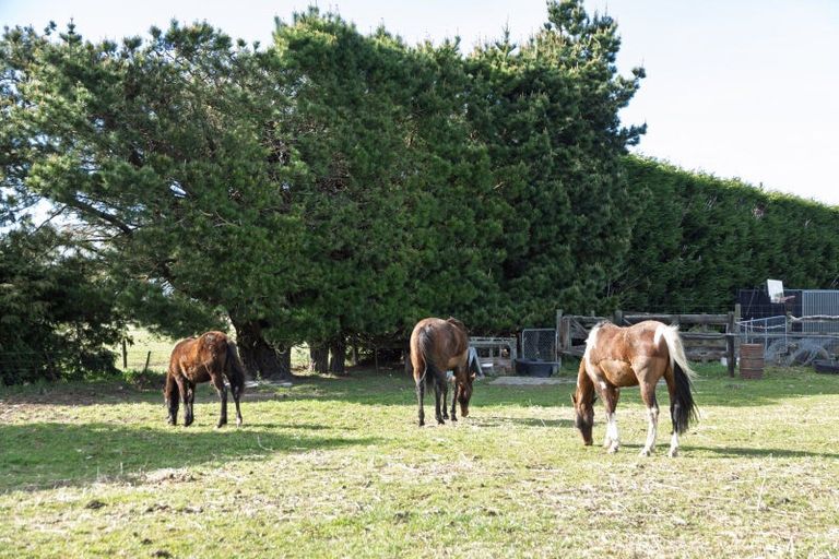 Photo of property in 17 Pudding Hill Road, Methven, Ashburton, 7776