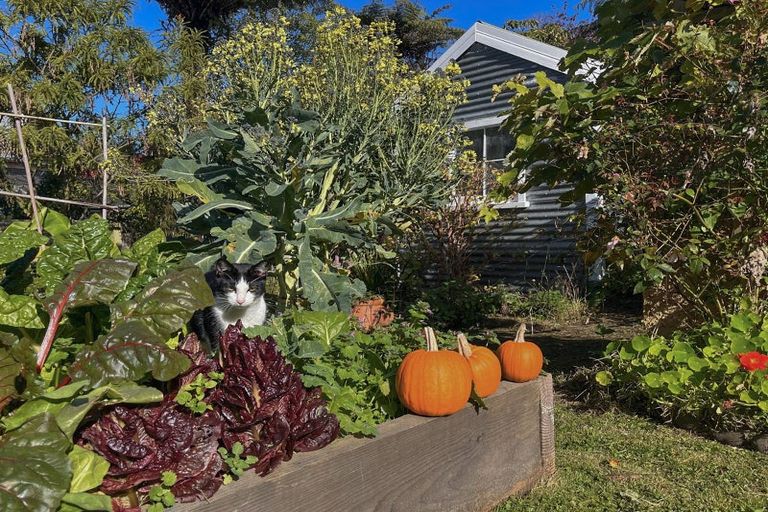 Photo of property in 5 Jessie Street, Maia, Dunedin, 9022