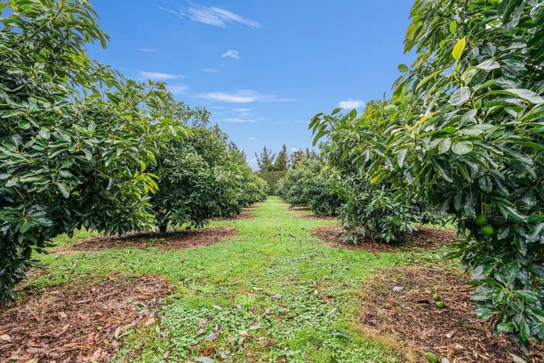 Photo of property in 78 Lockington Road, Aongatete, Katikati, 3181
