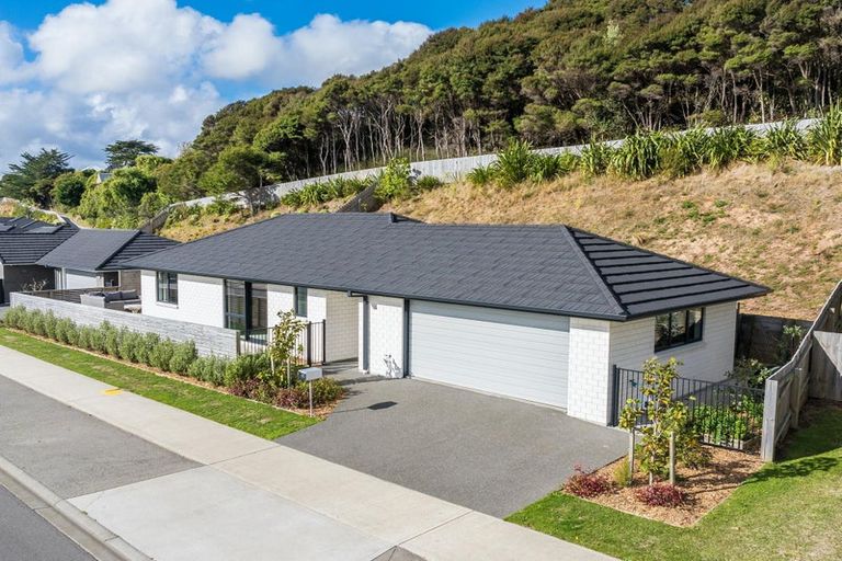 Photo of property in 45 Tradewinds Drive, Whitby, Porirua, 5024