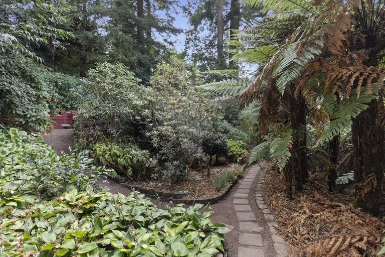 Photo of property in 18 Maple Place, Morrinsville, 3300