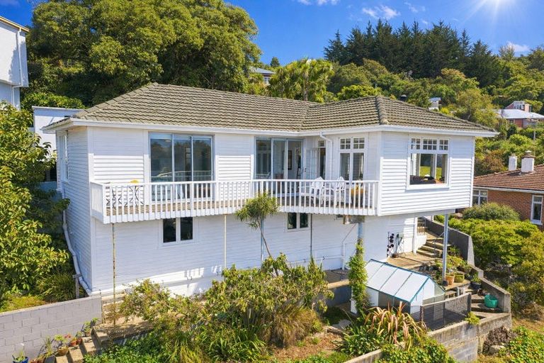 Photo of property in 53 Ravenswood Road, Saint Clair, Dunedin, 9012