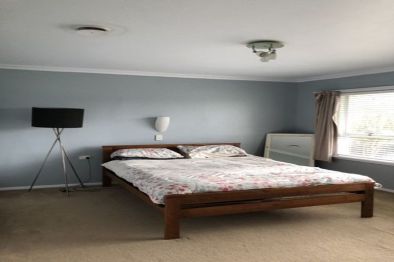 Photo of property in 15 Lancaster Street, Levin, 5510