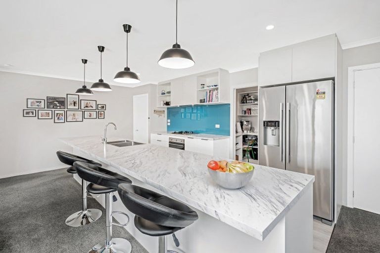 Photo of property in 19 Raptor Street, Rolleston, 7615