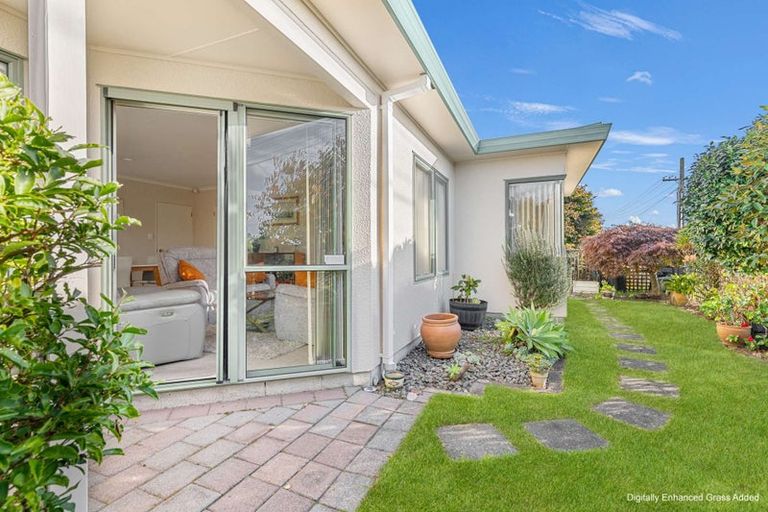 Photo of property in 16a Wickham Place, Hairini, Tauranga, 3112