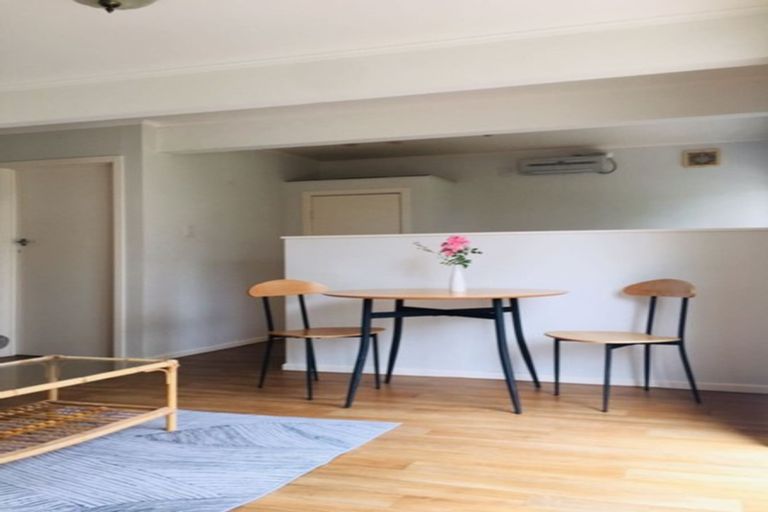 Photo of property in 20 Tilden Avenue, Hillcrest, Auckland, 0627