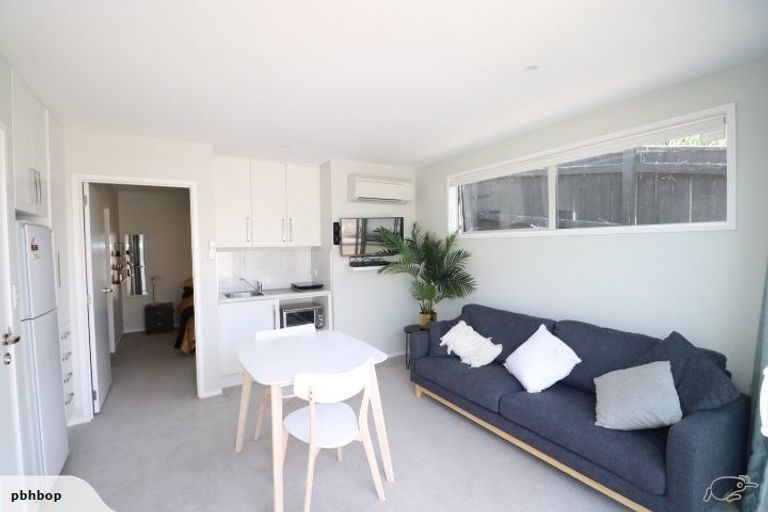 Photo of property in 47b Campbell Road, Mount Maunganui, 3116