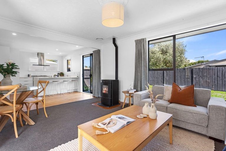 Photo of property in 46 Chartwell Street, Burwood, Christchurch, 8083