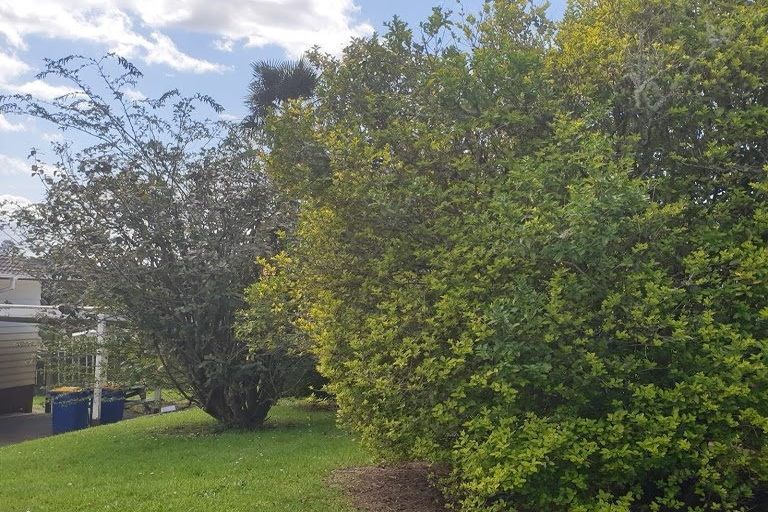 Photo of property in 138a Rathgar Road, Henderson, Auckland, 0610