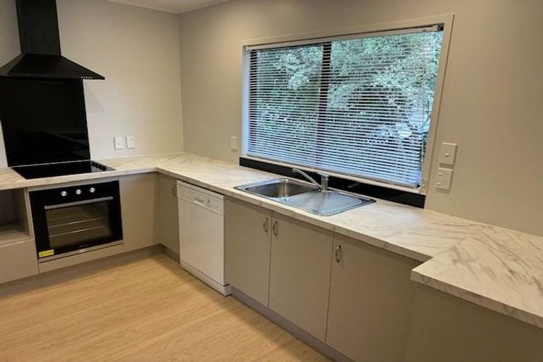 Photo of property in 101 Santiago Crescent, Unsworth Heights, Auckland, 0632