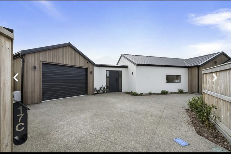Photo of property in 17c Brightwater Terrace, Terrace End, Palmerston North, 4410