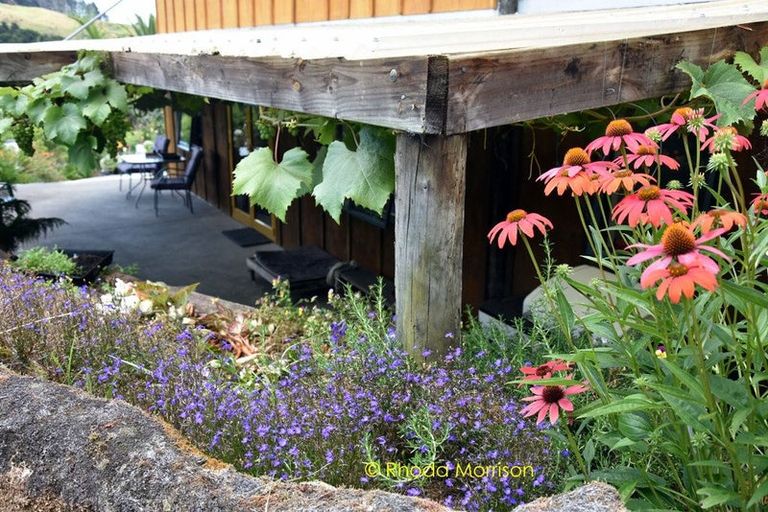 Photo of property in 330 Franklin Road, Paparoa, 0571