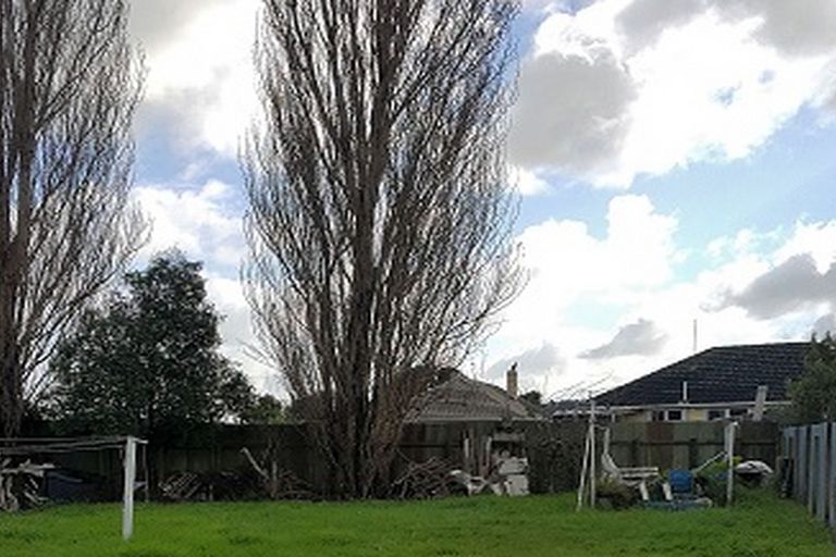 Photo of property in 14 Rotowaro Road, Huntly, 3700