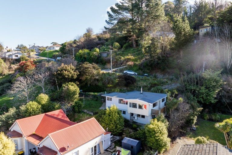 Photo of property in 51 Buccleugh Street, North East Valley, Dunedin, 9010