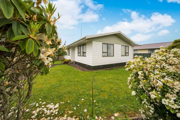 Photo of property in 12 Exeter Street, Stratford, 4332