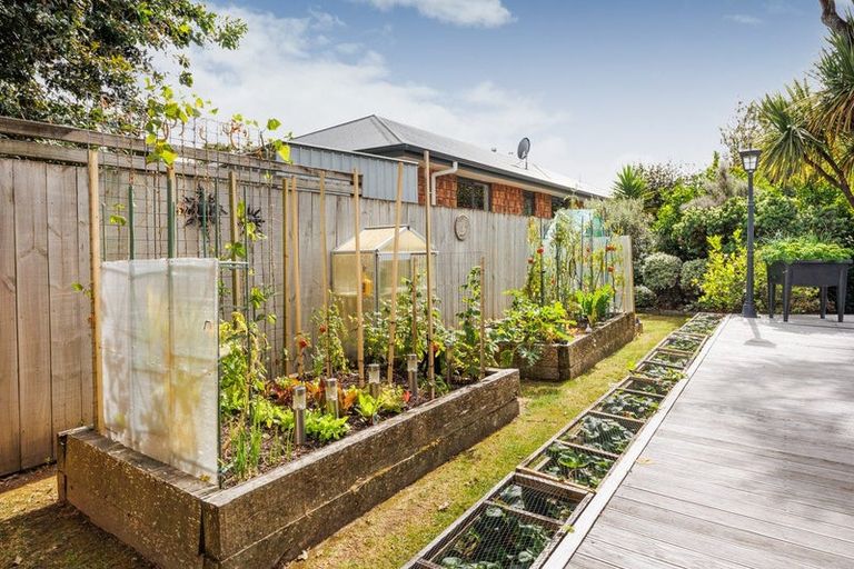 Photo of property in 3 Morgan Mews, Feilding, 4702