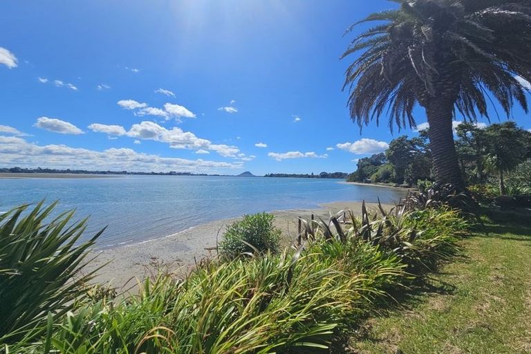 Photo of property in 390 Maungatapu Road, Maungatapu, Tauranga, 3112
