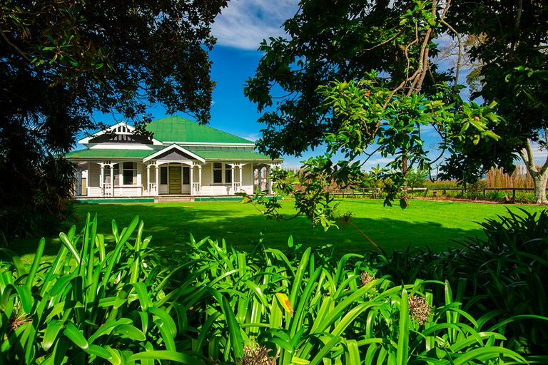 Photo of property in 297 Matawai Road, Waerengaahika, Gisborne, 4071
