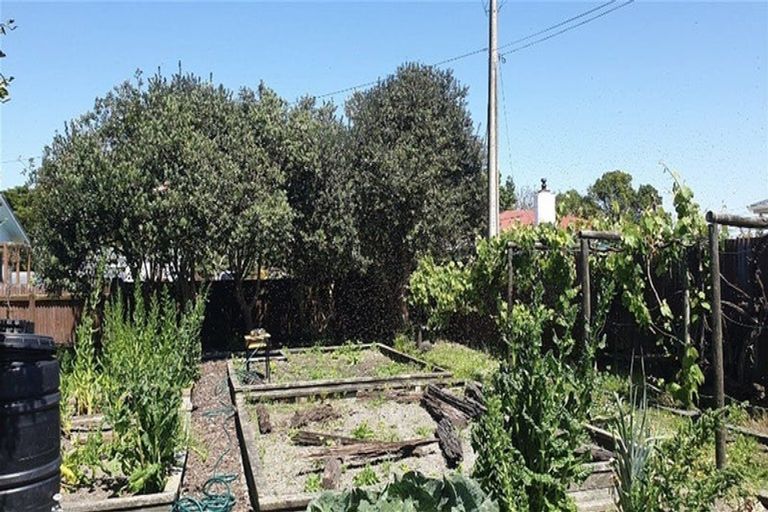 Photo of property in 41 Owen Road, Outer Kaiti, Gisborne, 4010