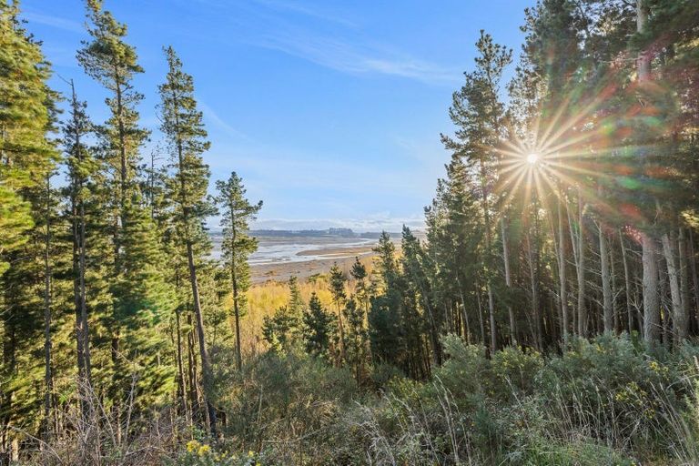 Photo of property in 1591 Thongcaster Road, Burnt Hill, Oxford, 7495