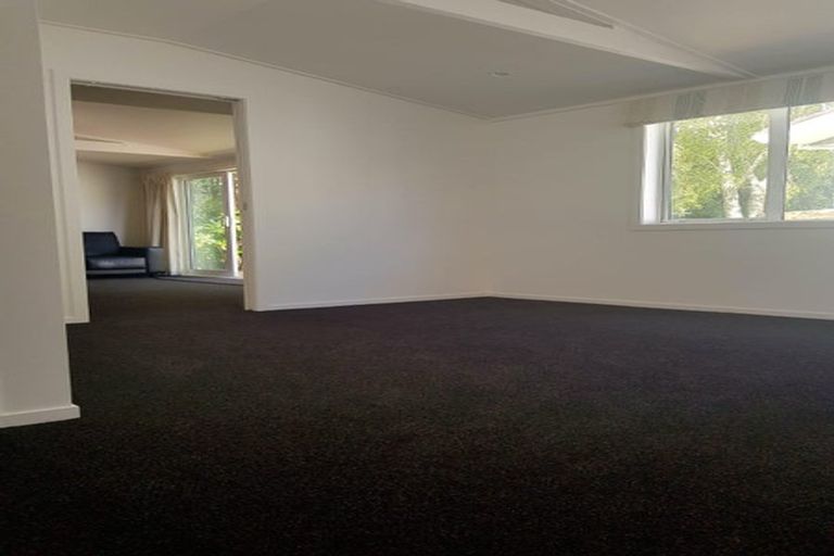 Photo of property in 52 Morrow Avenue, St Andrews, Hamilton, 3200