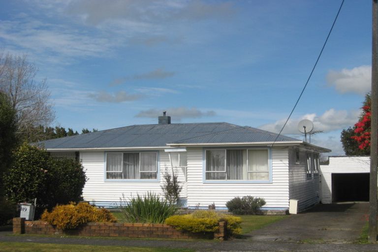 Photo of property in 19 Antonio Street, Stratford, 4332