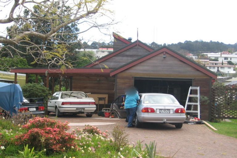 Photo of property in 105 Franklyn Street, Thames, 3500