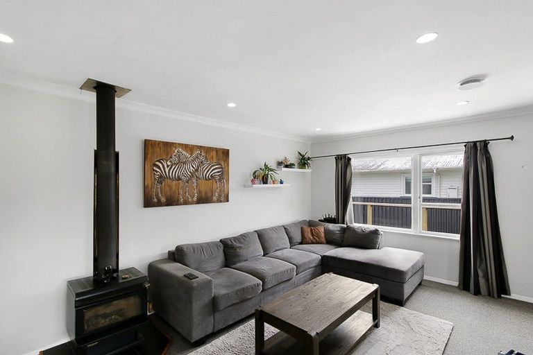 Photo of property in 60 Parker Avenue, Levin, 5510